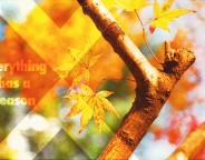 everything-season