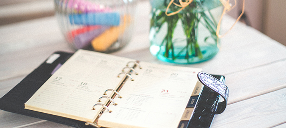 The Ultimate Guide to Picking Your Planner