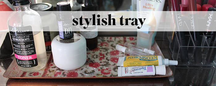 style tray beauty supplies the tiny twig 